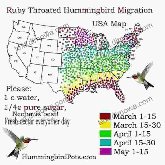 A Map Showing The Distribution Of Hummingbird Species Hummingbirds: A Guide To Every Species