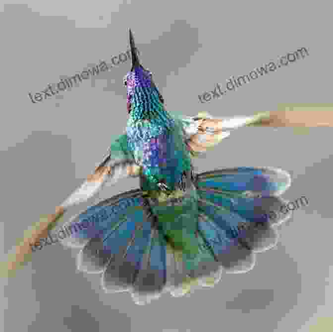 A Photograph Of A Hummingbird In Flight Hummingbirds: A Guide To Every Species