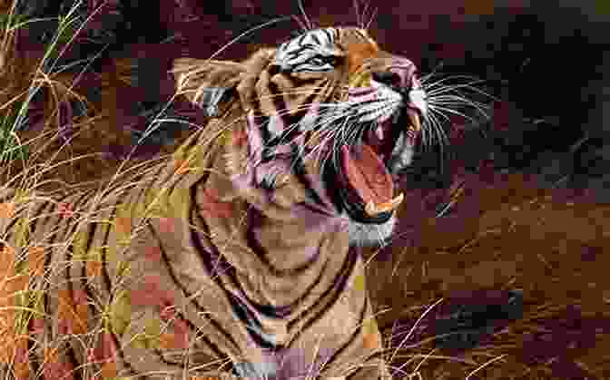 A Tiger Roaring In The Jungle The Call Of A Tiger