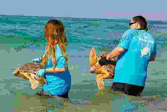 Billy And Sandy Helping A Sea Turtle Back Into The Ocean Grommet Shaka: Sea Shore Adventures Of A Boy And His Dog