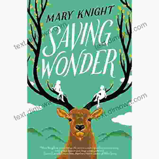 Book Cover Of 'Saving Wonder Mary Knight' Featuring A Woman Standing On A Cliff, Looking Out At The Ocean, With The Sunrise Behind Her. Saving Wonder Mary Knight