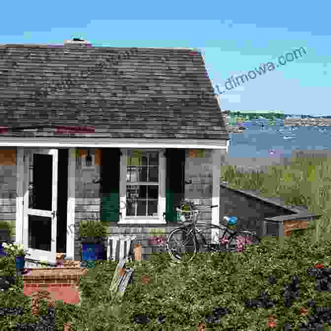 Exterior View Of The Shell Shop At Pearl Beach, A Charming Cottage Style Building With A Blue And White Awning The Shell Shop (Pearl Beach 2)