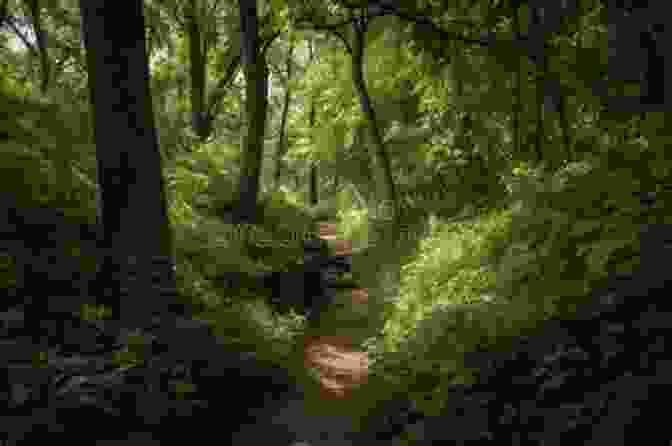 Hikers Traversing The Bobcat Hollow Trail, Surrounded By Towering Cypress Trees And Vibrant Wildflowers Hill Country State Natural Area Trail Guide: Half Day Hikes (More Or Less) (Texas State Parks Hiking Series)