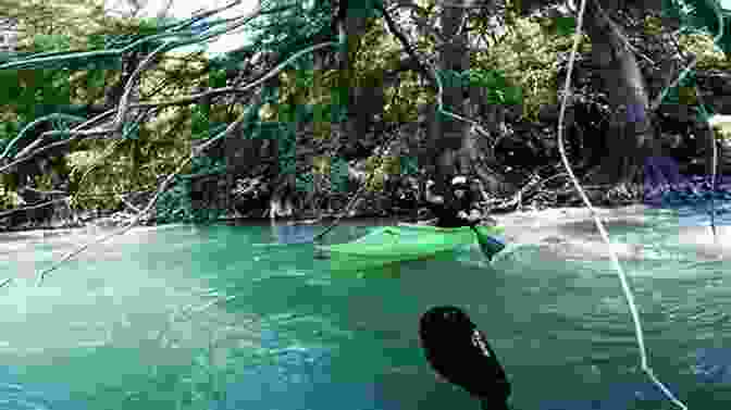 Kayakers Paddling Down The Tranquil Guadalupe River, Surrounded By Lush Vegetation And Towering Cypress Trees Hill Country State Natural Area Trail Guide: Half Day Hikes (More Or Less) (Texas State Parks Hiking Series)