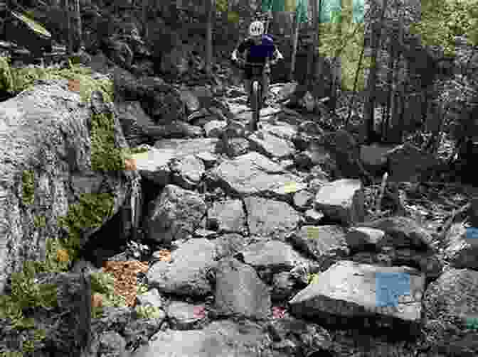 Mountain Bikers Navigating The Rugged Old Baldy Trail, Amidst Towering Trees And Rocky Terrain Hill Country State Natural Area Trail Guide: Half Day Hikes (More Or Less) (Texas State Parks Hiking Series)