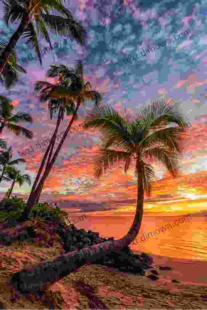 Passage To Fiji Book Cover, Featuring A Vibrant Sunset Over The Ocean With Palm Trees In The Foreground A Passage To Fiji: Insights Tips And Photos Of A Sailing Adventure In The Pacific Ocean