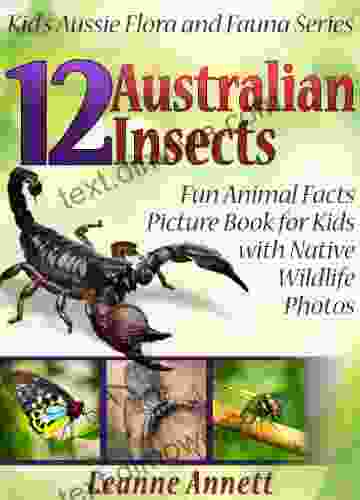 12 Australian Insects Kids About Insects: Fun Animal Facts Picture For Kids With Native Wildlife Photos (Kid S Aussie Flora And Fauna 4)