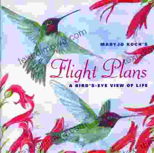 Flight Plans: A Bird S Eye View Of Life