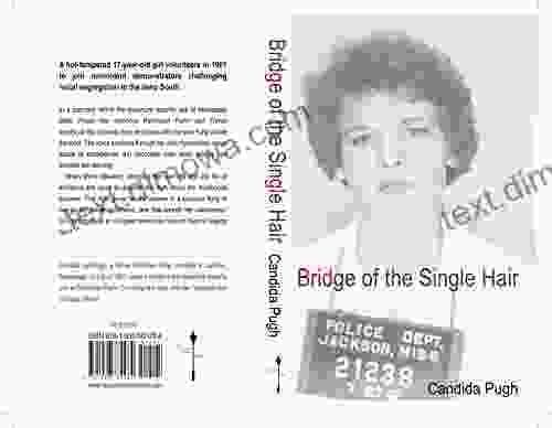 Bridge Of The Single Hair