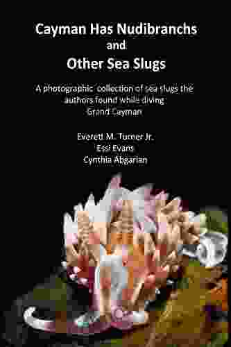 Cayman Has Nudibranchs And Other Sea Slugs: A Photographic Collection Of Sea Slugs The Authors Found While Diving Grand Cayman