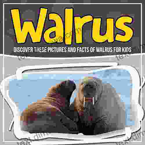 Walrus: Discover These Pictures And Facts Of Walrus For Kids