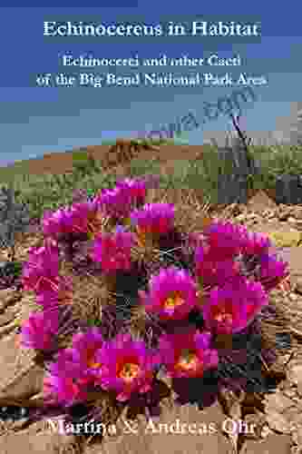 Echinocereus In Habitat: Echinocerei And Other Cacti Of The Big Bend National Park Area