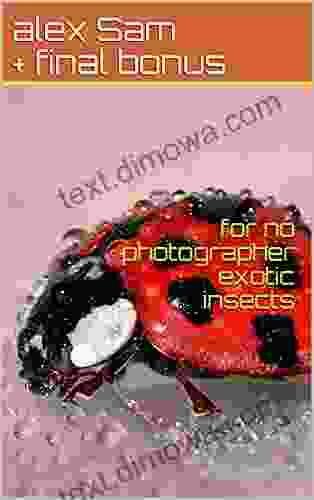 For No Photographer Exotic Insects