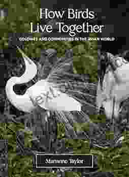 How Birds Live Together: Colonies And Communities In The Avian World