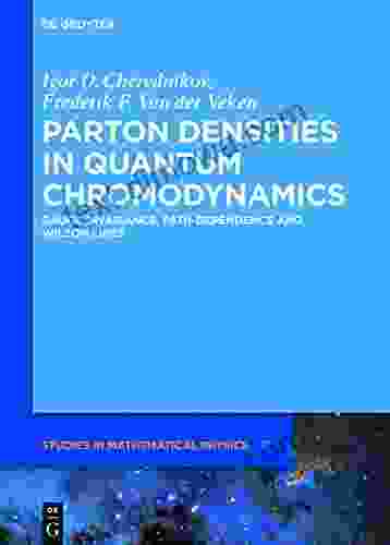 Parton Densities In Quantum Chromodynamics: Gauge Invariance Path Dependence And Wilson Lines (De Gruyter Studies In Mathematical Physics 37)