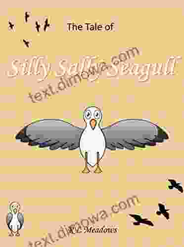 Silly Sally Seagull: A Rhyming Picture Following The Fun Adventures Of Sally The Seagull Perfect For Daytime / Bedtime Aimed At Children Aged 2 6 Years And Above That Love Stories With Humor