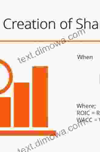 Shareholder Value A Business Experience (Quantitative Finance)