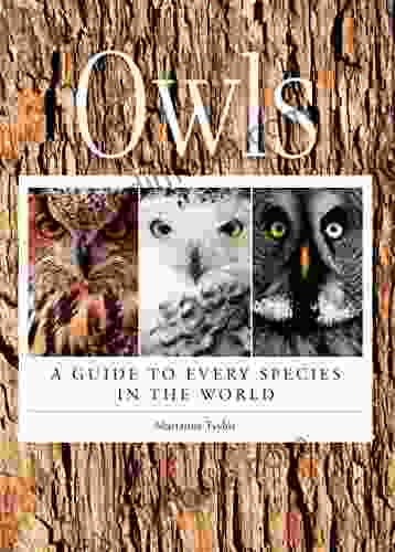 Owls: A Guide To Every Species In The World