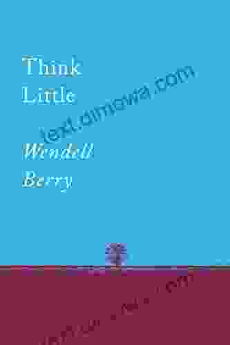 Think Little: Essays (Counterpoints 1)