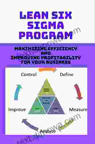 Lean Six Sigma Program: Maximizing Efficiency And Improving Profitability For Your Business