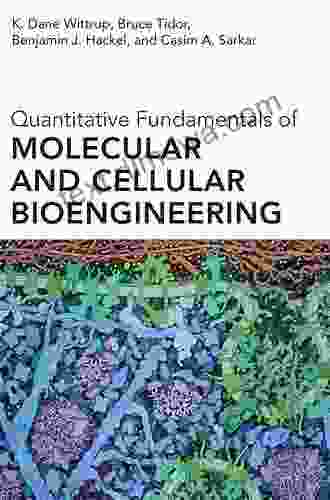 Quantitative Fundamentals Of Molecular And Cellular Bioengineering